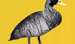 娱乐吃瓜遛鸟大师,吃瓜遛鸟大师带你领略明星幕后生活